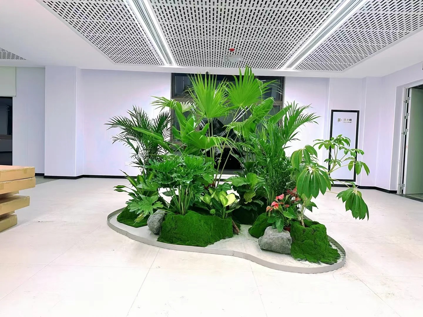 专业呈现,宁波植物租摆的精彩绿植世界><div class=